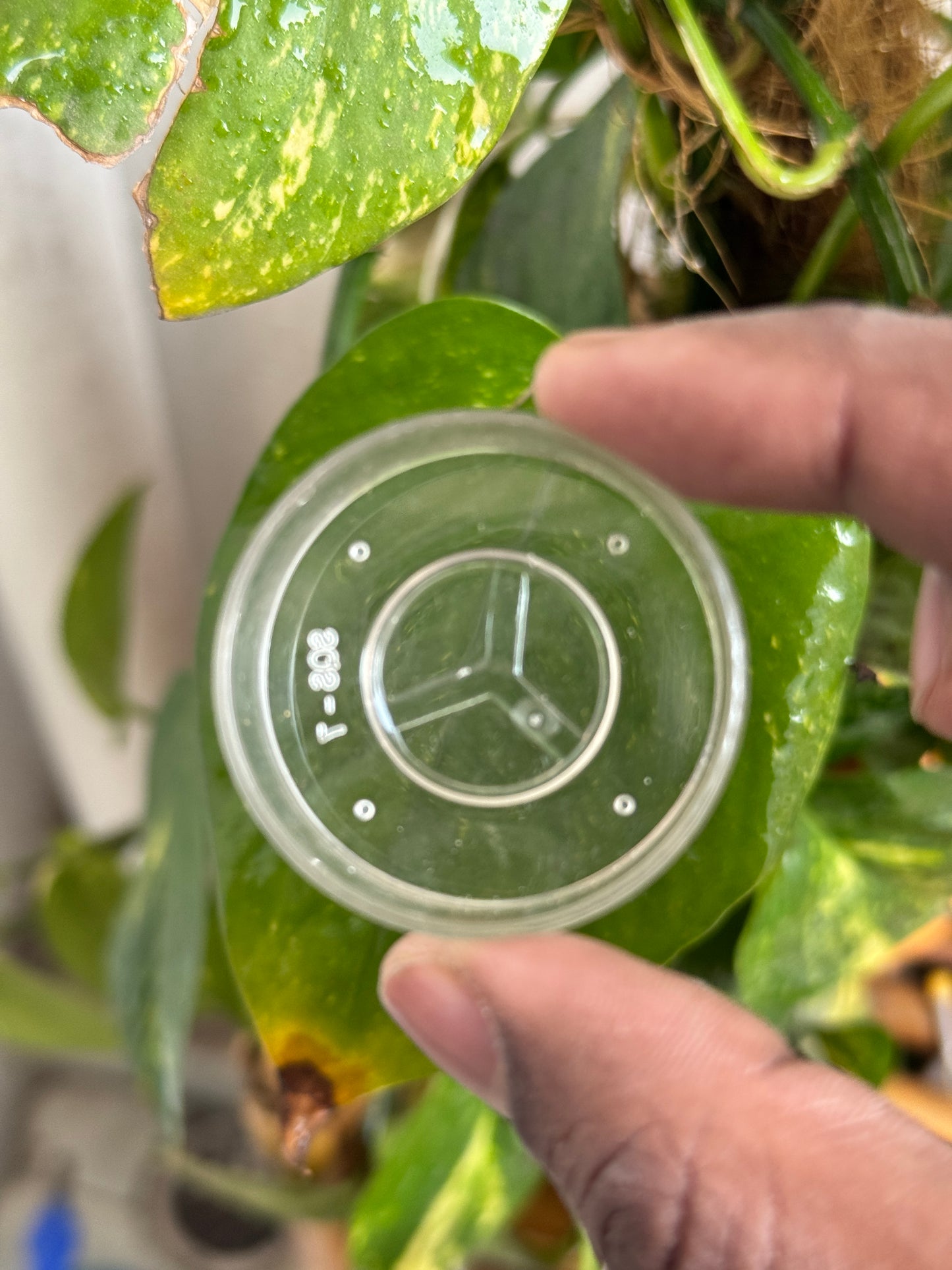 Polycarbonate Circle Tlight