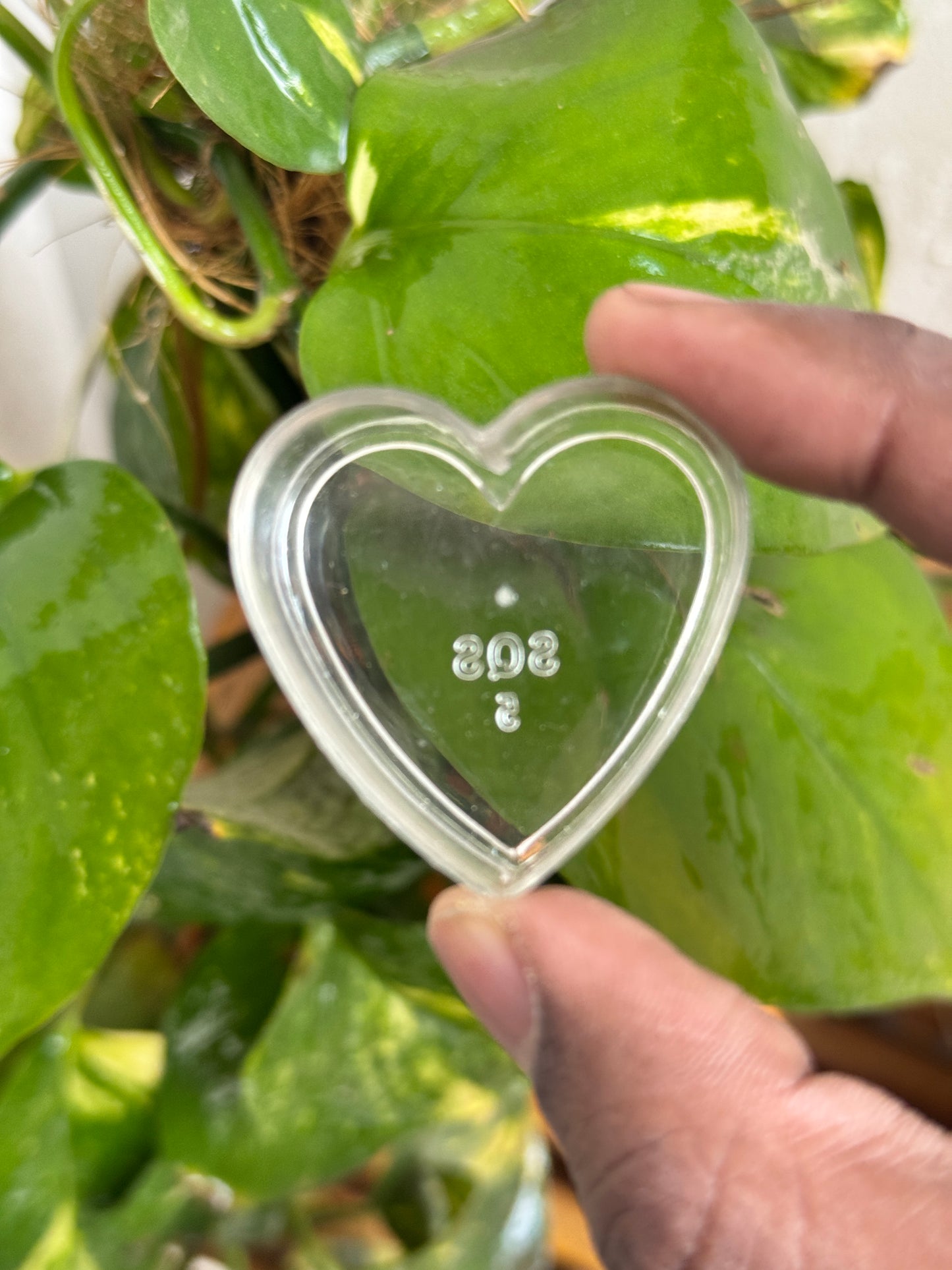 Polycarbonate Heart Tlight