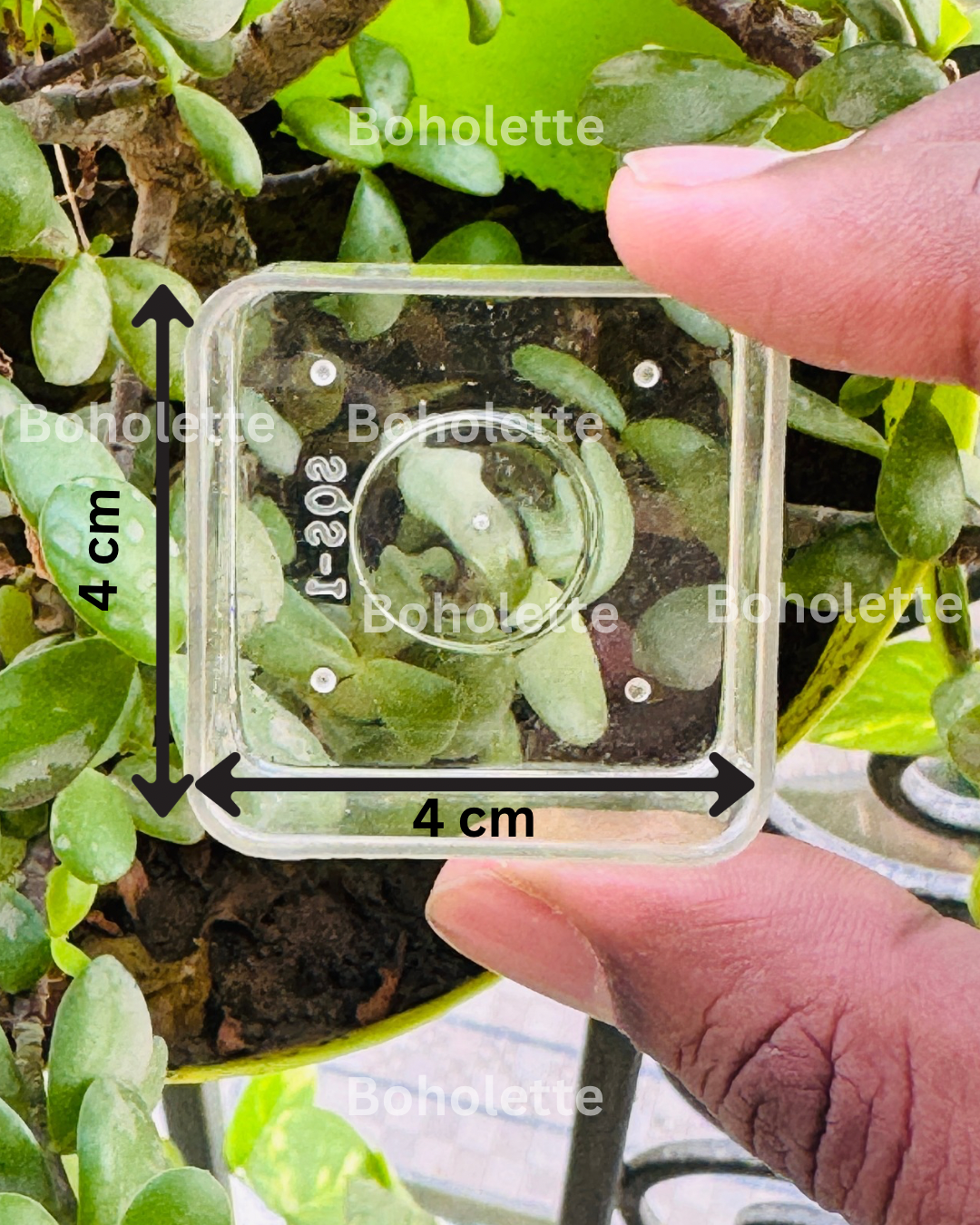 Square Polycarbonate Tlight Cup