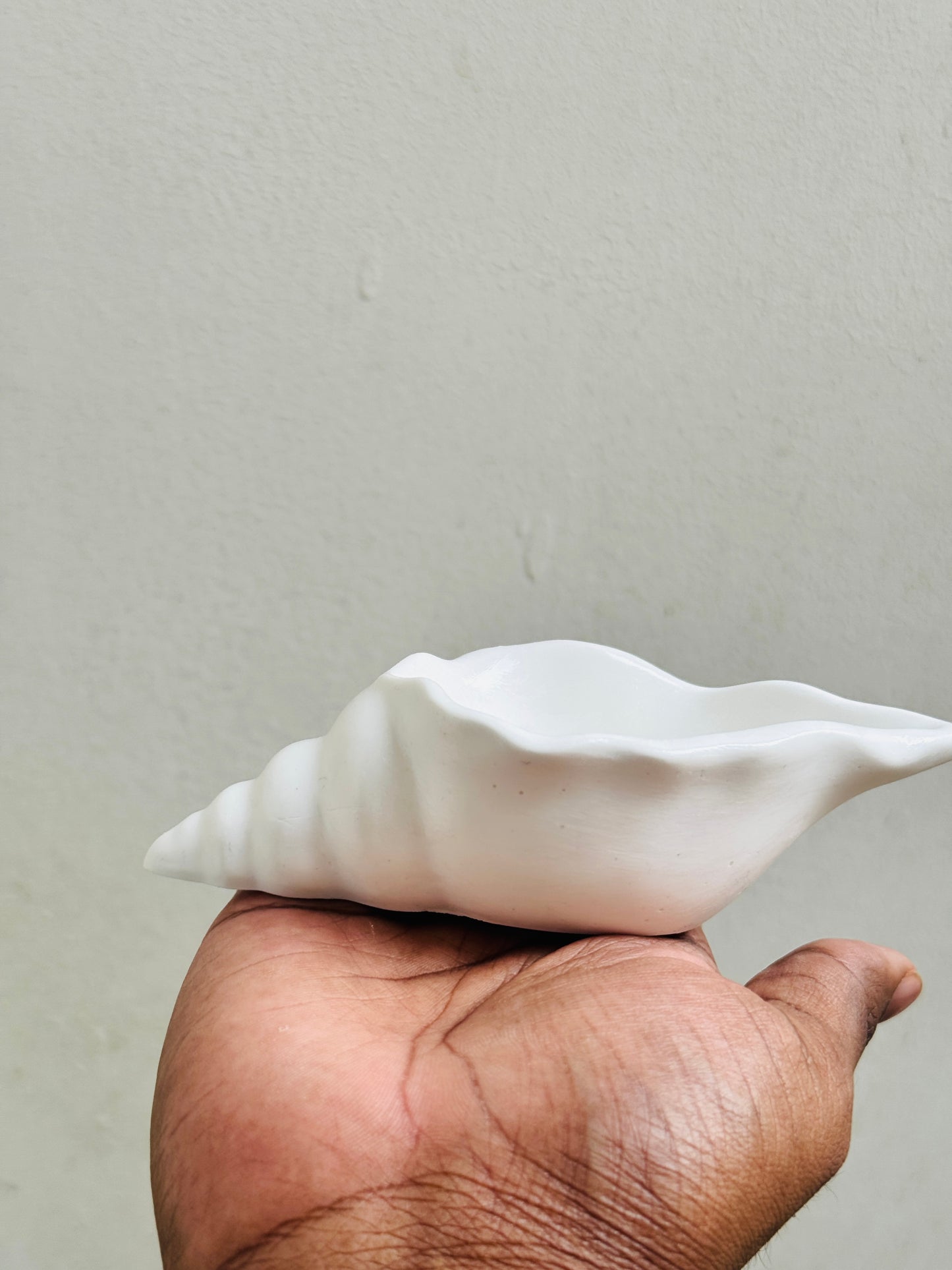 50 ML| Wholesale Empty Shell Concrete Candle Jar | 4x2 Inches |Sea Shell