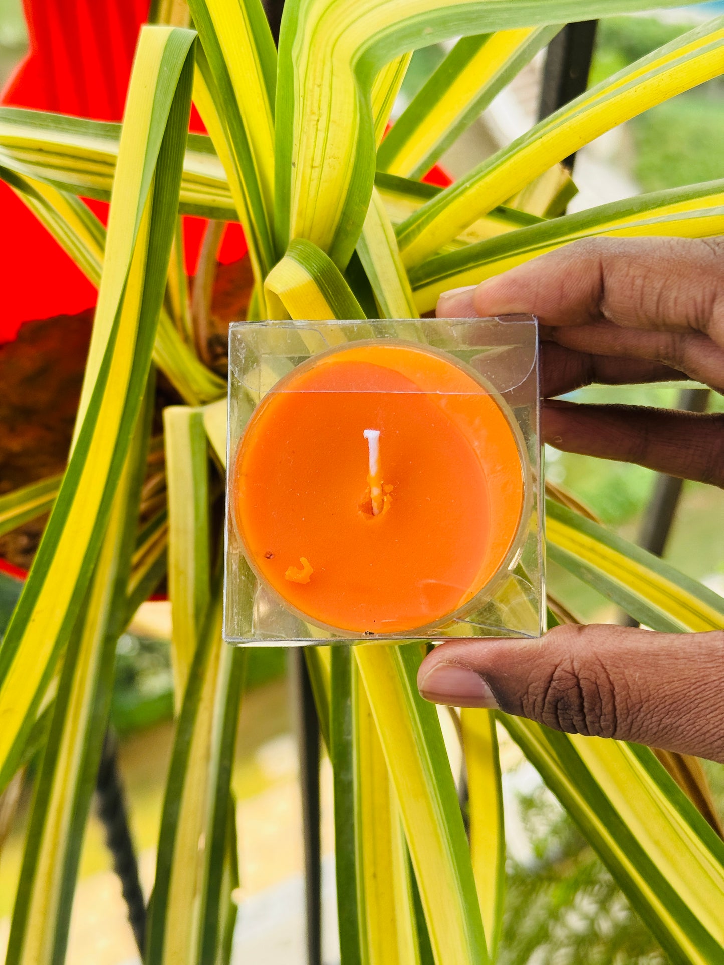 Diya Urli Box | Daisy Candle Box | 2.5 inch pvc box | jumbo Tealight box