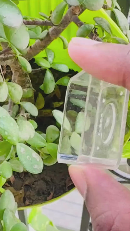 Square Polycarbonate Tlight Cup